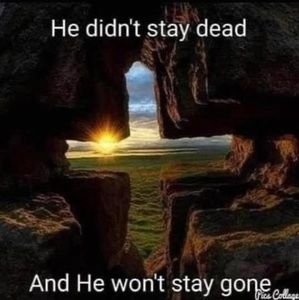 Meet your Posher, Sheila